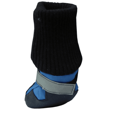 Hdp Dog Boots Blue Set of 4 Medium