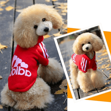 Zehui Pet Dog Cat Sweater Puppy T Shirt Warm Hoodies Coat Clothes Apparel Black S