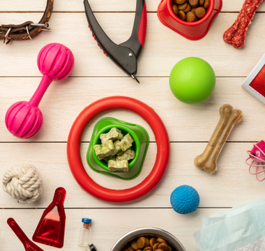 Deciphering Your Cat’s Language